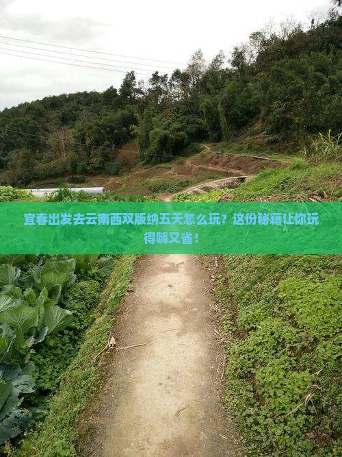 宜春到云南西双版纳五日游