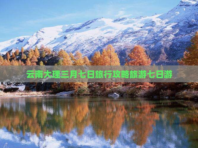 三月去云南大理七日游
