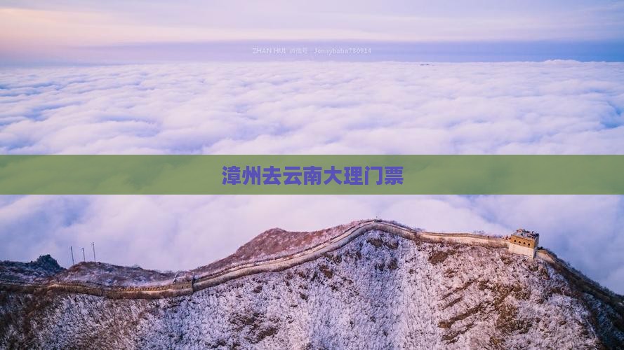 漳州去云南大理门票