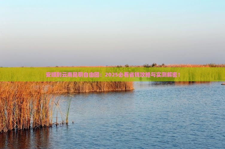 安顺到云南昆明自由团