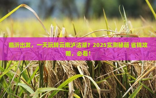 临沂到云南泸沽湖一日