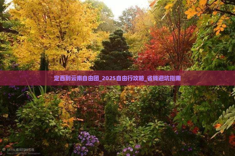 定西到云南自由团