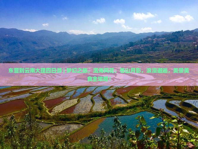 东营到云南大理四日游