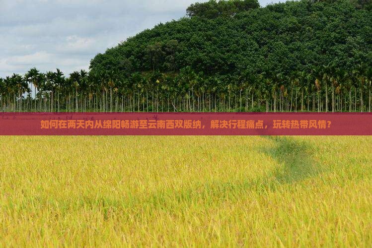 如何在两天内从绵阳畅游至云南西双版纳，解决行程痛点，玩转热带风情？