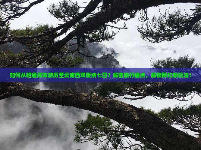 如何从昭通高效游历至云南西双版纳七日？解密旅行痛点，解锁网红新玩法！