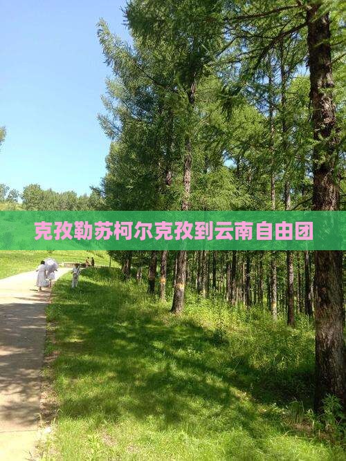 克孜勒苏柯尔克孜到云南自由团