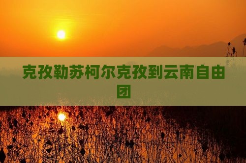 克孜勒苏柯尔克孜到云南自由团