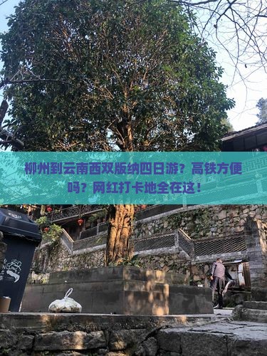柳州到云南西双版纳四日游？高铁方便吗？网红打卡地全在这！