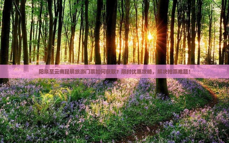 阳泉至云南昆明旅游门票如何获取？限时优惠攻略，解决抢票难题！