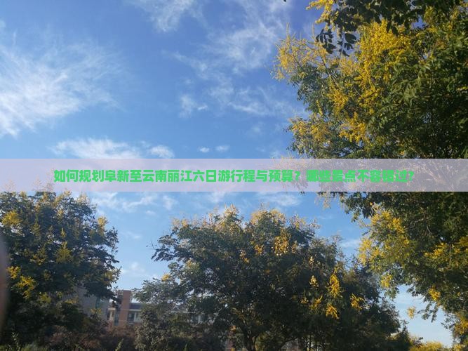 如何规划阜新至云南丽江六日游行程与预算？哪些景点不容错过？