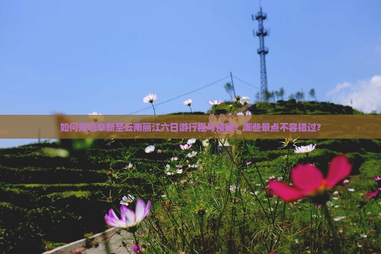 如何规划阜新至云南丽江六日游行程与预算？哪些景点不容错过？
