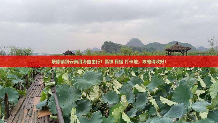 景德镇到云南洱海自由行？高铁+民宿+打卡地，攻略请收好！