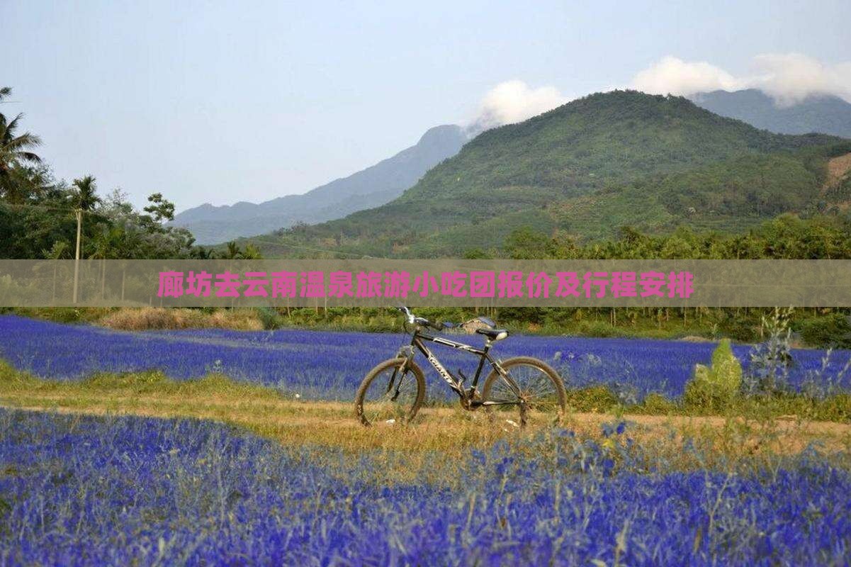 廊坊去云南温泉旅游小吃团报价及行程安排