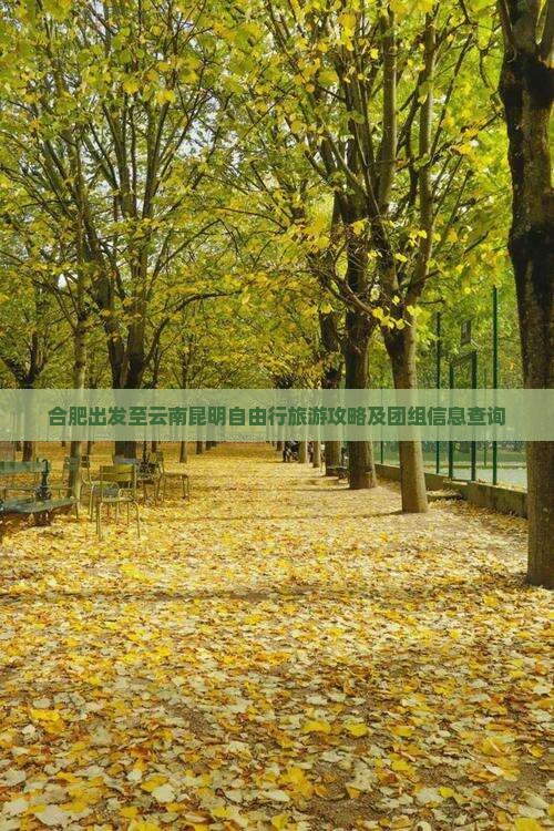 合肥出发至云南昆明自由行旅游攻略及团组信息查询