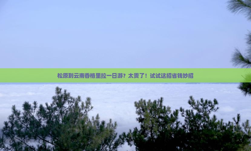 松原到云南香格里拉一日游？太贵了！试试这招省钱妙招
