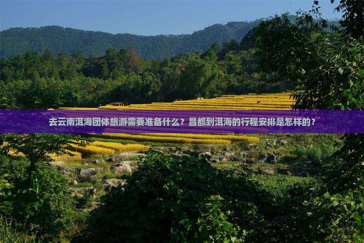 去云南洱海团体旅游需要准备什么？昌都到洱海的行程安排是怎样的？
