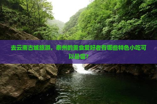 去云南古城旅游，泰州的美食爱好者有哪些特色小吃可以品尝？