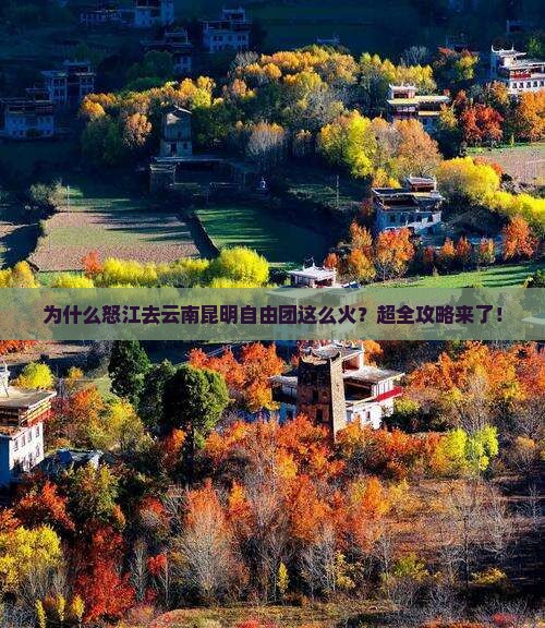 为什么怒江去云南昆明自由团这么火？超全攻略来了！