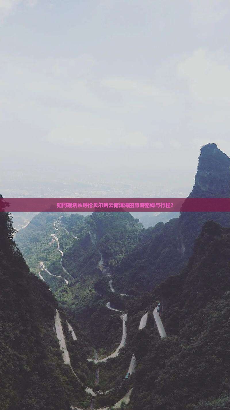 如何规划从呼伦贝尔到云南洱海的旅游路线与行程？