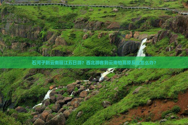 石河子到云南丽江五日游？西北游客到云南怕高原反应怎么办？
