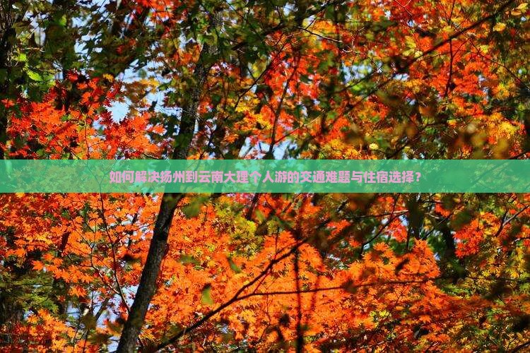 如何解决扬州到云南大理个人游的交通难题与住宿选择？