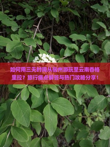 如何用三天时间从宿州游玩至云南香格里拉？旅行痛点解答与热门攻略分享！