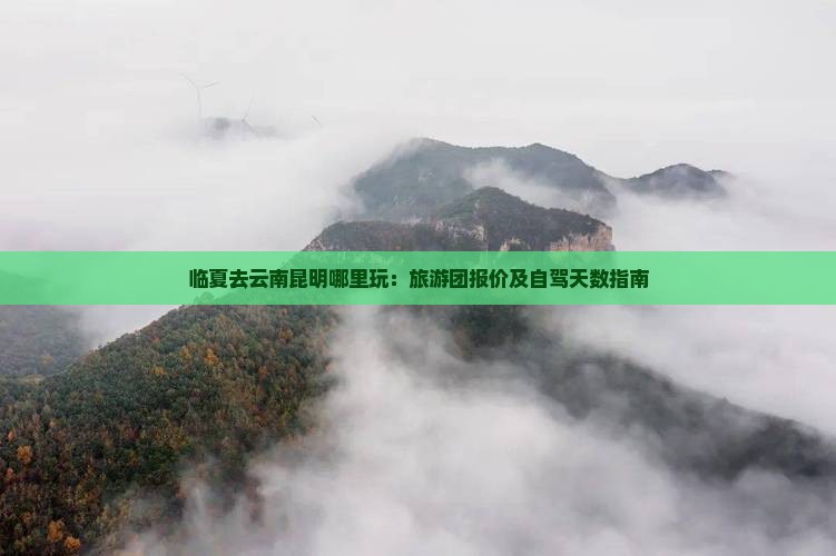 临夏去云南昆明哪里玩：旅游团报价及自驾天数指南