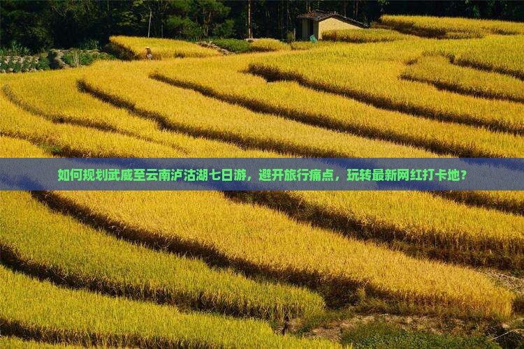 如何规划武威至云南泸沽湖七日游，避开旅行痛点，玩转最新网红打卡地？