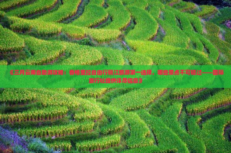 《三月云南自助游攻略：香格里拉自由行丽江旅游第一选择，哪些景点不可错过——国际旅行社提供详尽信息》