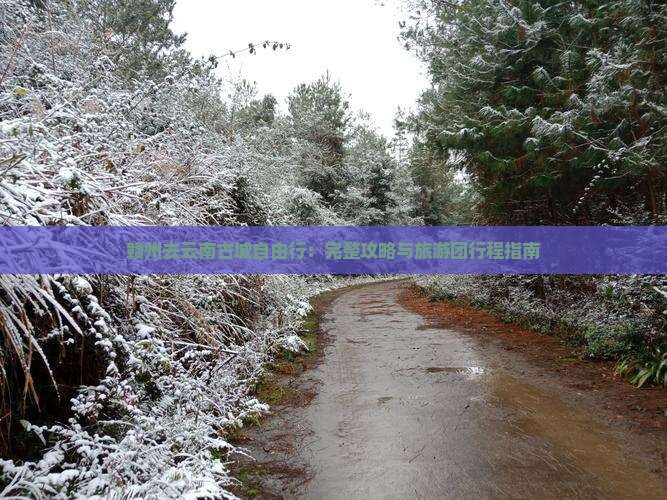 赣州去云南古城自由行：完整攻略与旅游团行程指南
