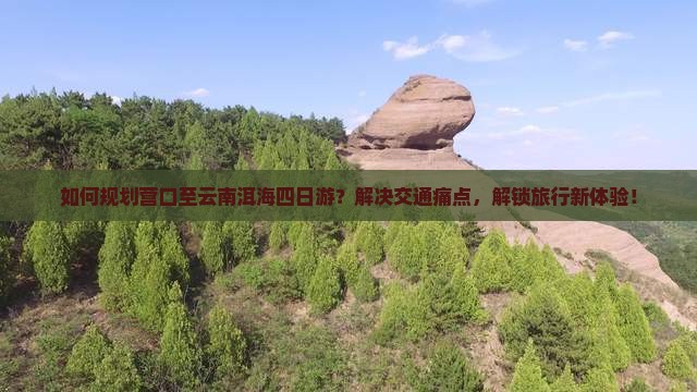 如何规划营口至云南洱海四日游？解决交通痛点，解锁旅行新体验！