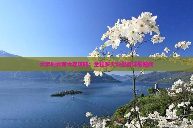 大丰到云南大理攻略：全程多少公里及详细路线
