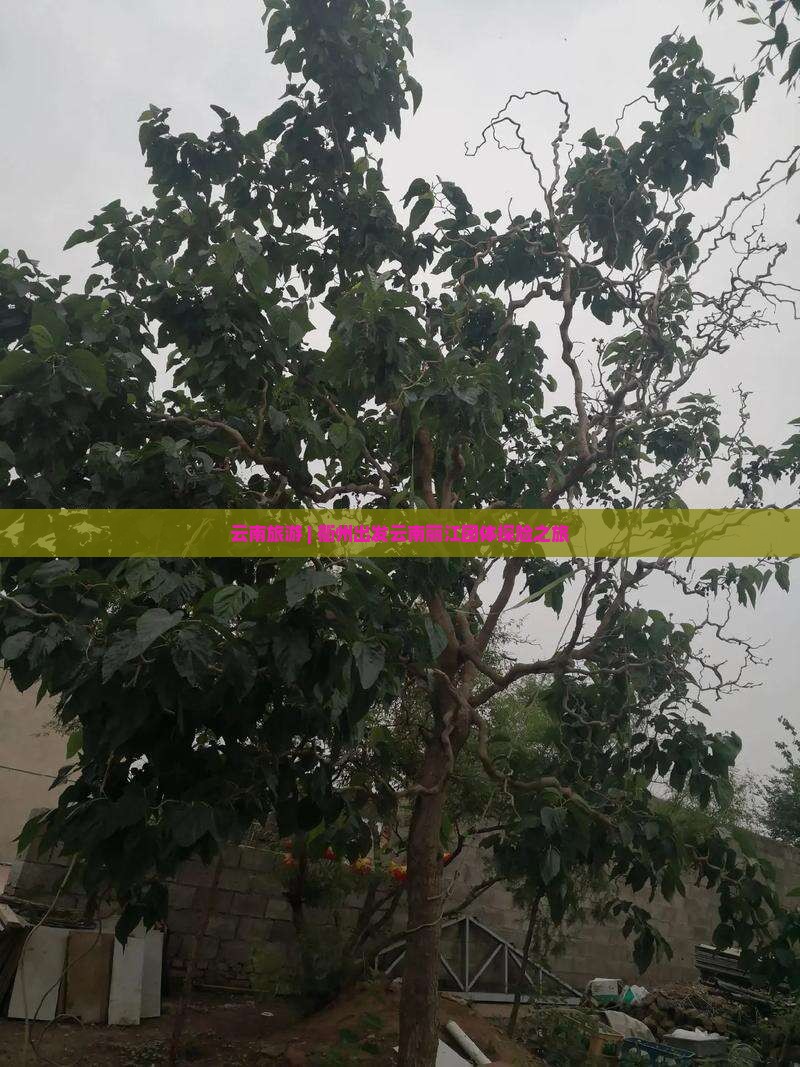 云南旅游 | 衢州出发云南丽江团体探险之旅