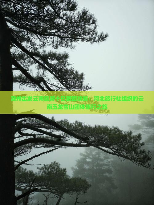 滁州出发云南旅游十日跟团攻略：河北旅行社组织的云南玉龙雪山团体旅行之旅