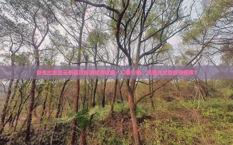 新余出发至云南西双版纳旅游攻略：门票价格、交通方式及景点推荐？