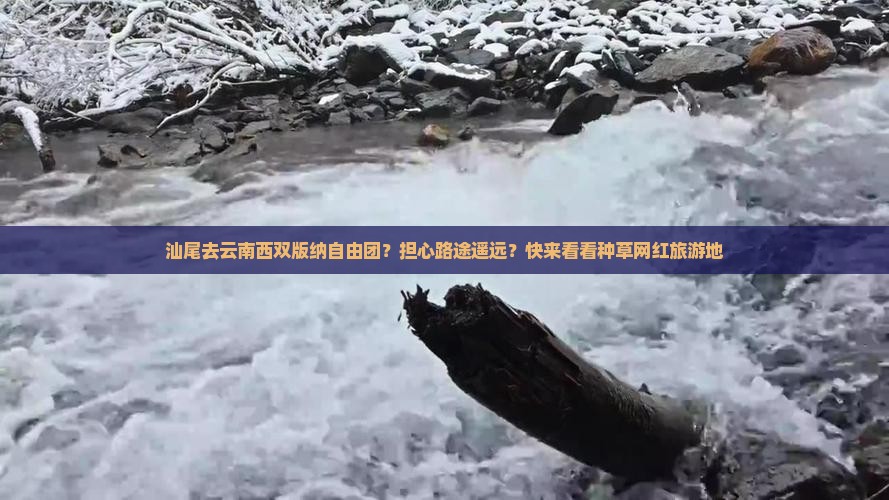 汕尾去云南西双版纳自由团？担心路途遥远？快来看看种草网红旅游地