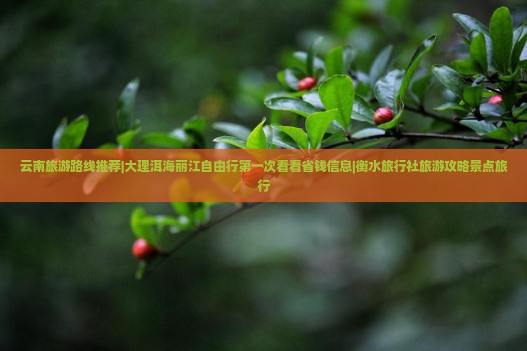 云南旅游路线推荐|大理洱海丽江自由行第一次看看省钱信息|衡水旅行社旅游攻略景点旅行