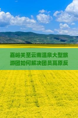 嘉峪关至云南温泉大型旅游团如何解决团员高原反应及享受深度体验？