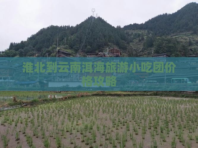 淮北到云南洱海旅游小吃团价格攻略