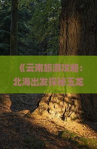 《云南旅游攻略：北海出发探秘玉龙雪山必去景点与路线》