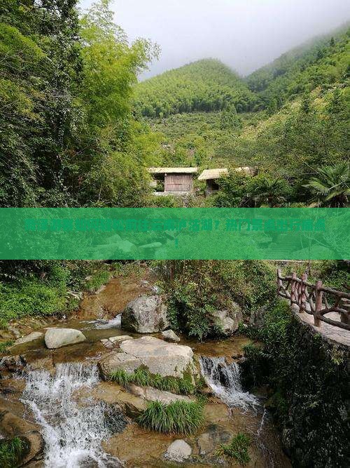 菏泽游客如何轻松前往云南泸沽湖？热门景点出行痛点！