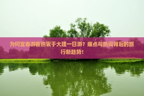 为何宜春游客热衷于大理一日游？痛点与热词背后的旅行新趋势！