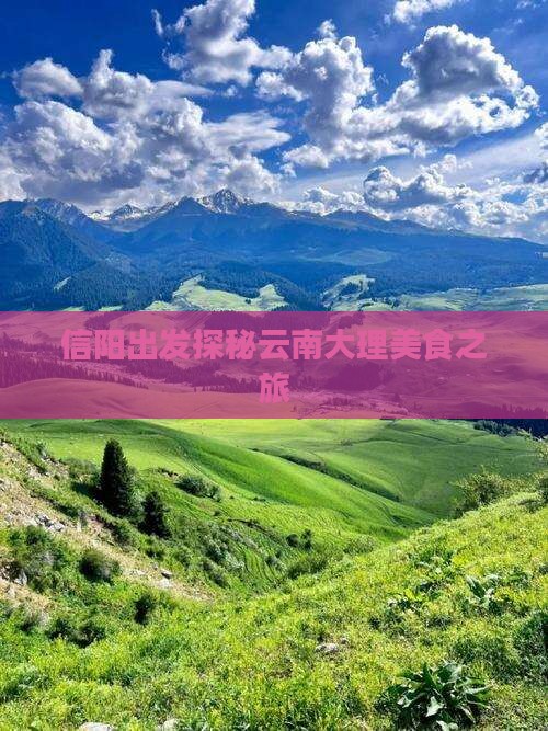信阳出发探秘云南大理美食之旅