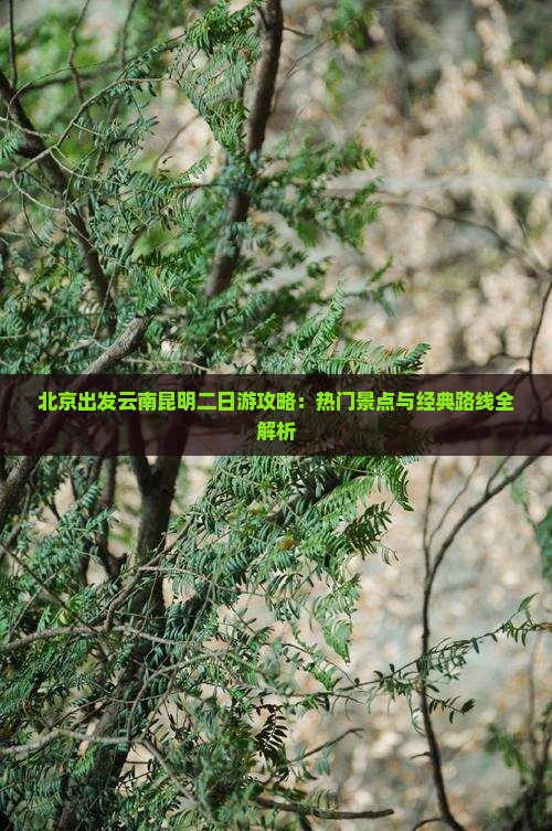 北京出发云南昆明二日游攻略：热门景点与经典路线全解析