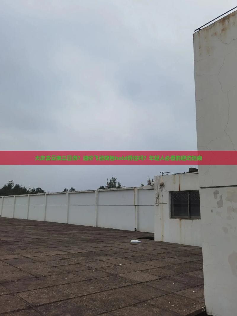 大庆去云南三日游？油价飞涨钱包hold得住吗？年轻人必看的避坑指南