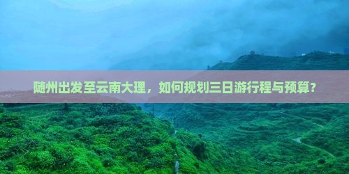 随州出发至云南大理，如何规划三日游行程与预算？