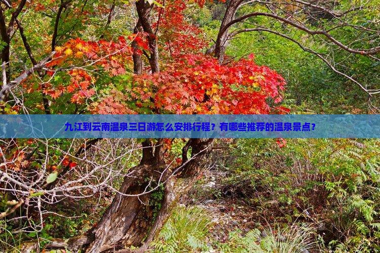 九江到云南温泉三日游怎么安排行程？有哪些推荐的温泉景点？