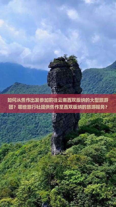 如何从焦作出发参加前往云南西双版纳的大型旅游团？哪些旅行社提供焦作至西双版纳的旅游服务？