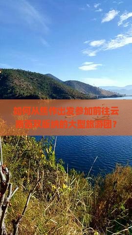 如何从焦作出发参加前往云南西双版纳的大型旅游团？哪些旅行社提供焦作至西双版纳的旅游服务？