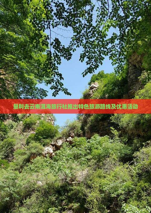 垦利去云南洱海旅行社推出特色旅游路线及优惠活动